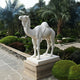 The Elegant Camel Marble Outdoor Sculpture by Giant Sculptures stands 160cm tall on a pedestal in a lush garden, surrounded by trimmed bushes and palm trees, with stone pathways weaving through the greenery.