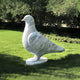 The Graceful Dove Marble Outdoor Sculpture (50cm) by Giant Sculptures adorns a tranquil lawn, its smooth texture capturing the doves realistic form. Lush green trees provide partial shade, enhancing the serene scene.