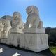 A group of elaborate Chinese Guardian Lion V Marble Outdoor Sculptures from Giant Sculptures sits majestically on pedestals against a clear blue sky. These outdoor pieces, adorned with traditional motifs, are partially shaded and surrounded by lush greenery.