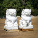 Two "Chinese Guardian Lion VII Marble Outdoor Sculpture" pieces by Giant Sculptures, in elegant large white marble forms, are positioned on wooden pallets on sandy ground with trees behind them. These intricately detailed statues emulate traditional Chinese Guardian Lions, each featuring a decorative collar, infusing luxury spaces with an air of sophistication.