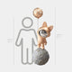 An illustration depicts a small, round astronaut cat wearing a helmet and standing on the moon, holding the Rose Gold Astronaut Bunny Moonwalk Balloon Sculpture - 180cm by Giant Sculptures. The balloon shimmers like rose gold and is moon-shaped. A height chart shows the cat at 160 cm (53).