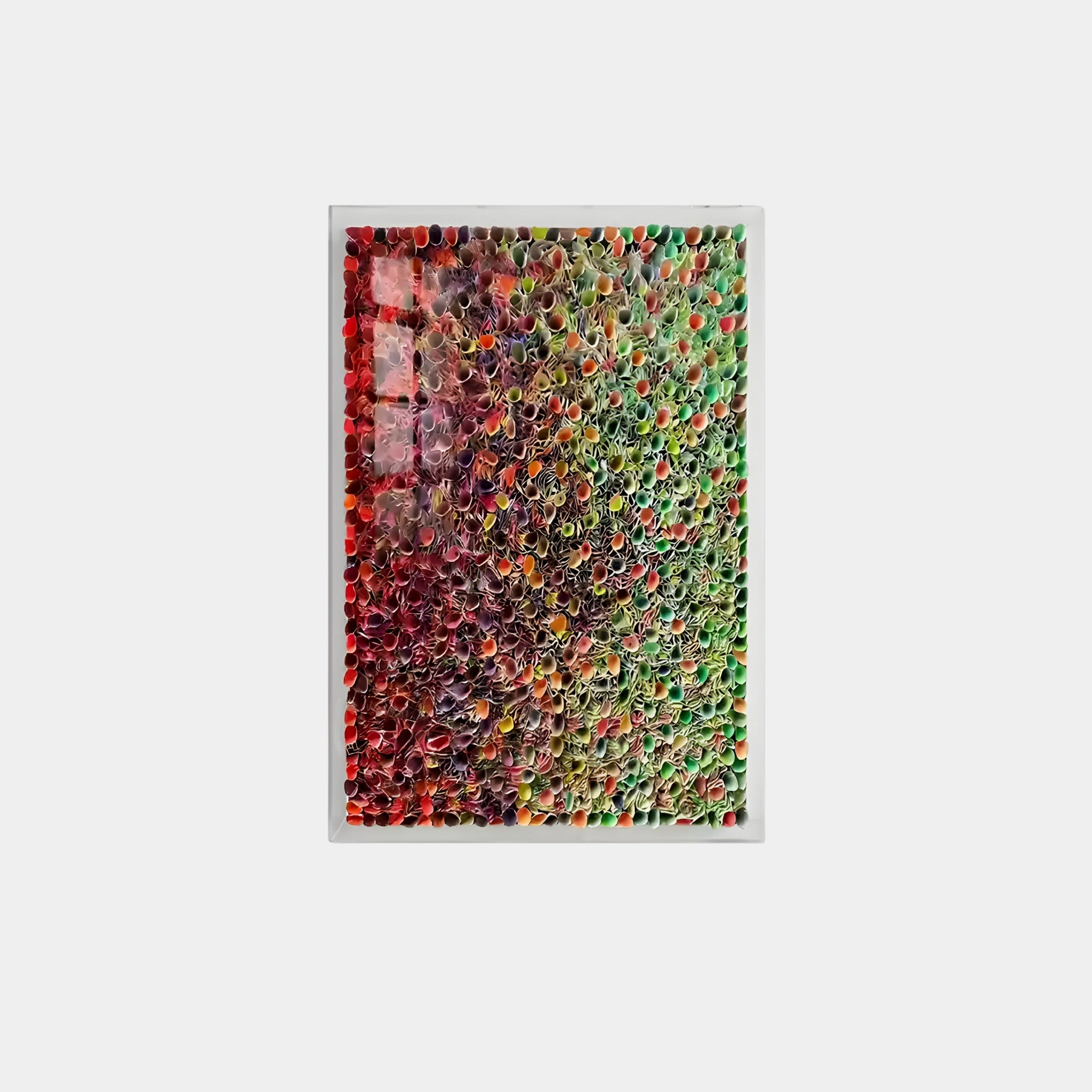 The Chromatica Vertical Radiant Red & Green Rolled Paper 3D Wall Art by Giant Sculptures features an intricate rectangular frame filled with dense, rolled paper strips. The vibrant red and green hues create a mesmerizing and textured visual effect.