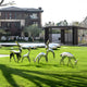 The Giant Sculptures Deer Organic Steel Outdoor Sculpture (91/158cm) adorns a green lawn in front of modern buildings, alongside a pavilion with vertical slats and reflective stone-like sculptures, all surrounded by scattered trees and shrubs to enhance the contemporary design.