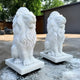 Two Giant Sculptures Giant Gracious Lion Marble Outdoor Sculptures, crafted from white marble, sit on square bases outdoors. Their intricately carved fur and regal presence epitomize luxurious garden art against a backdrop of trees and buildings on a paved surface.