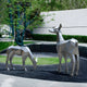 Deer II Geometric Steel Outdoor Sculpture - 160cm