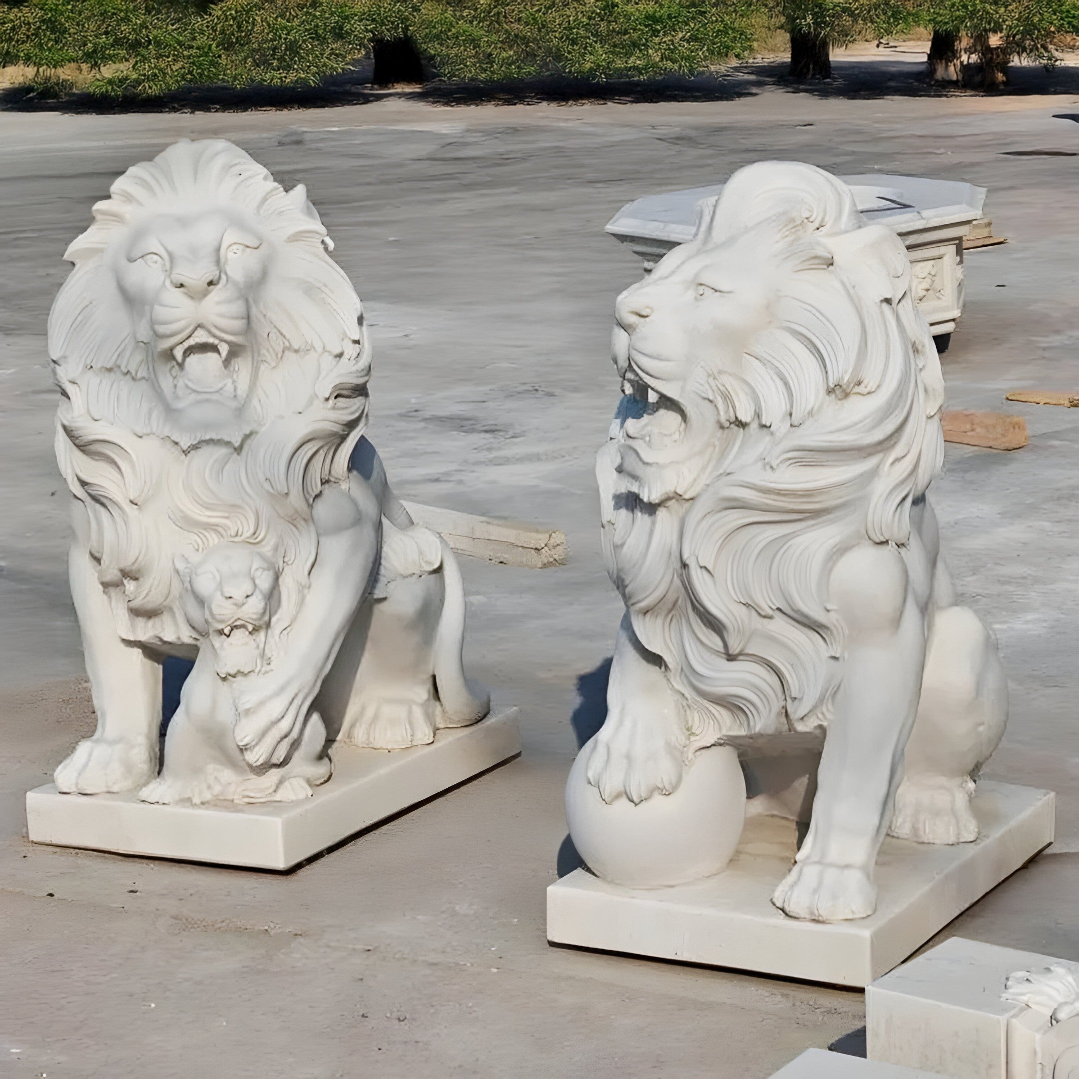 Situated on a concrete surface, the Giant Lion With Cub Marble Outdoor Sculpture from Giant Sculptures features one lion with an open mouth accompanied by a smaller lion. Meanwhile, the other lion's paw gently rests on a ball within a sunlit landscape adorned with lush greenery. These luxurious garden art pieces elevate any outdoor setting with their elegance.