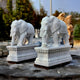 Two intricately carved sculptures from the Giant Sculptures brand, known as the Lucky Chinese Elephant Marble Outdoor Sculpture - Customised, stand on decorative pedestals. These handcrafted pieces showcase ornate details on their bodies and are outdoors, with blurred trees and other sculptures in the background.