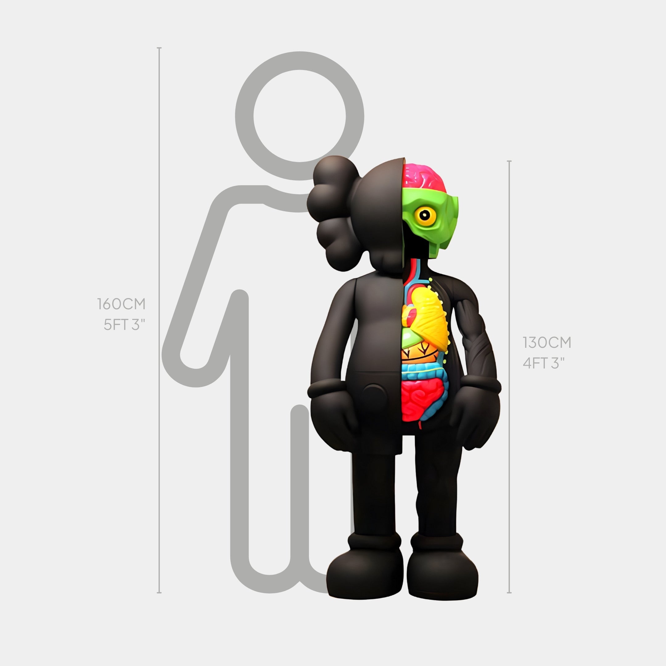 Giant Sculptures Midnight Black Iconify Anatomy Sculpture stands 130 cm tall and features a modern pop-art style with a cartoon characters exposed internal organs. It contrasts against a 160 cm human outline, showcasing a large head and bold simplified features.