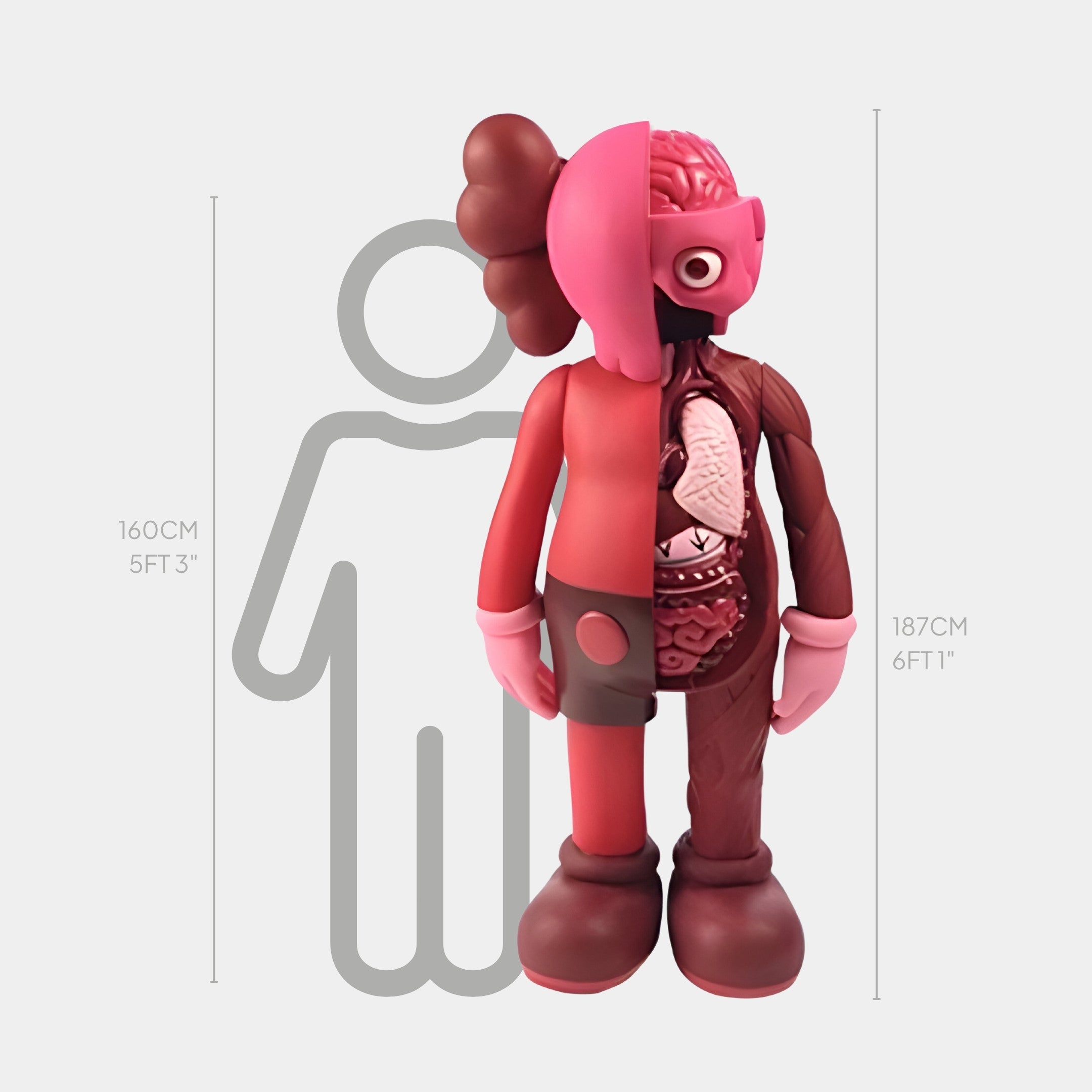 The Blush Ruby Iconify Anatomy Sculpture by Giant Sculptures features a half-dissected, cartoon-style figure in blush ruby tones at 160 cm (53) against a gray silhouette of 187 cm (61), revealing internal organs for a captivating artistic display.