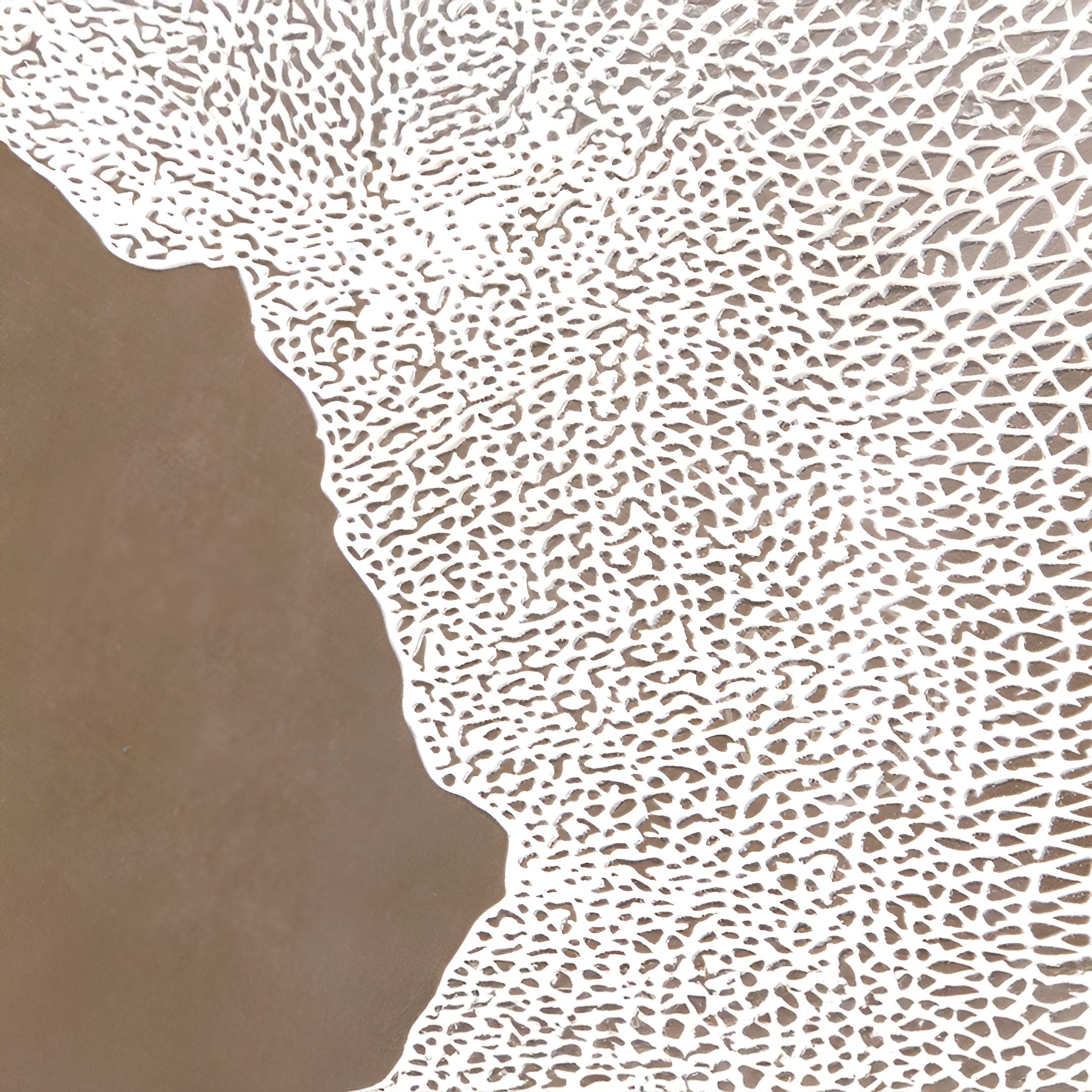 Abstract image displaying an irregular brown shape with a textured surface on the left, contrasted by a lattice-like white pattern on the right against a light background. Enhanced with amber tones, it adds depth and warmth. Earthlight Amber Glow 3D Textured Oil Painting LED Wall Art by Giant Sculptures.